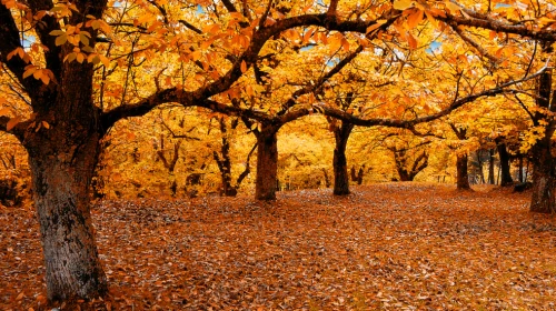 Primo settembre: autunno meteorologico. Torna il fresco